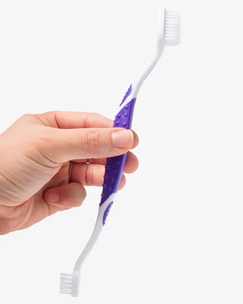 Hand holding a purple and white toothbrush against a white background