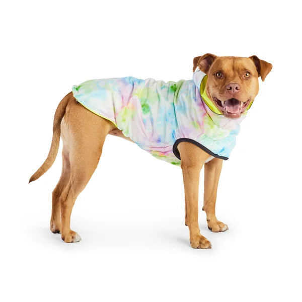 Dog wearing a colorful tie-dye shirt on a white background