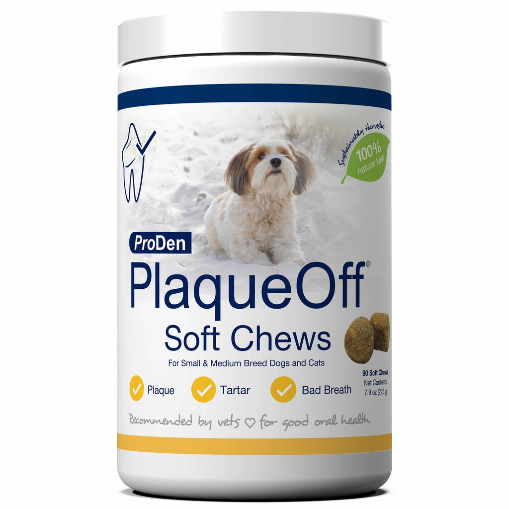 PlaqueOff Soft Chews for Small/Medium Breed Dogs - ProDen