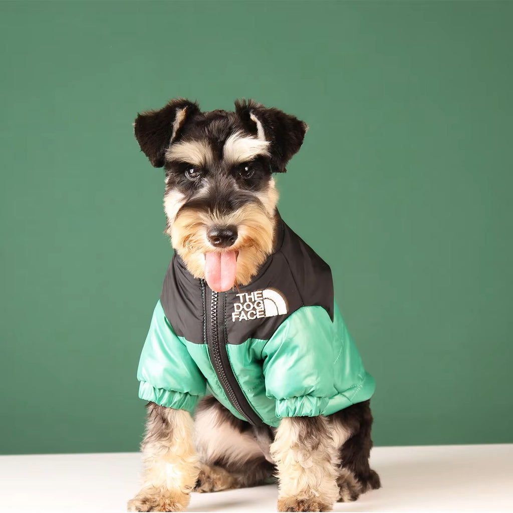 Playful Green Dog Face Jacket with dog