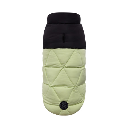 Quilted dog coat with black collar on a white background