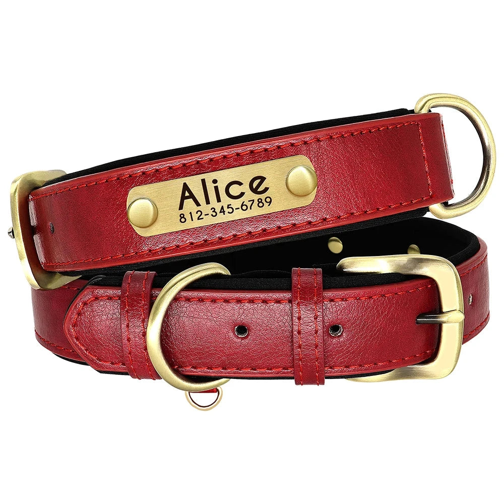 Custom Leather Dog Collar - Soft Padded with Personalized ID Tag for Small & Medium Dogs RED / L - Dog Store Online