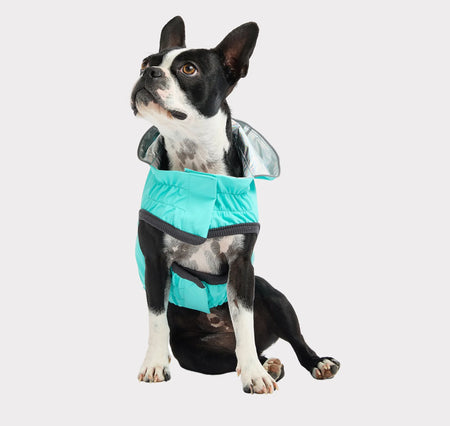Reversible Dog Raincoat - GF Pet aqua on dog