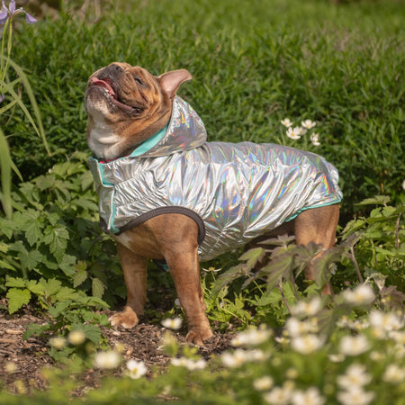 Reversible Dog Raincoat - GF Pet reverse aqua on dog