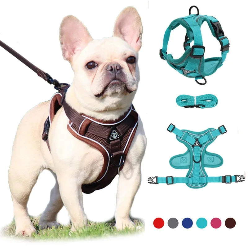 No Pull Reflective Dog Harness and Leash Set - Adjustable Mesh Vest for Small Dogs - Dog Store Online