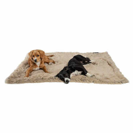 Shag Blanket for Dogs - Best Friends by Sheri