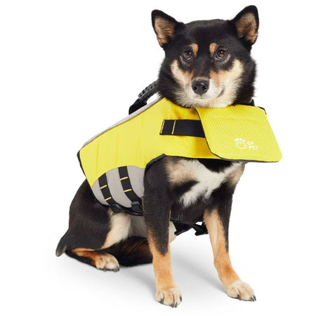 Dog wearing a yellow life jacket on a white background