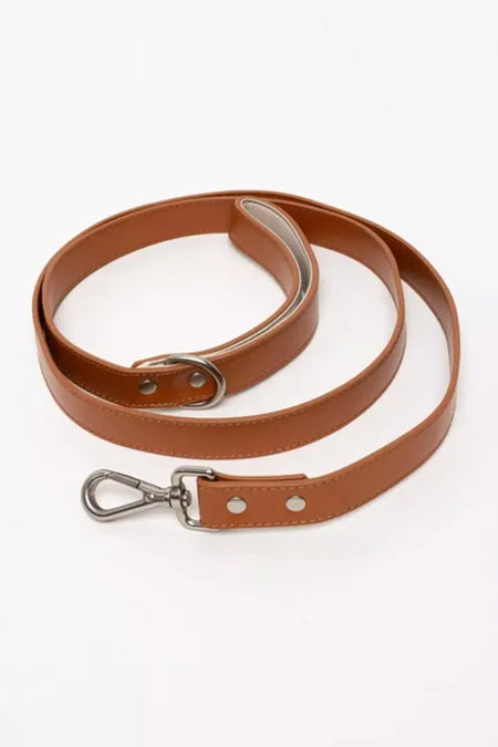 Sierra Sunrise Vegan Leather Dog Leash - Aria the Fox