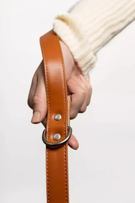 Sierra Sunrise Vegan Leather Dog Leash - Aria the Fox handle