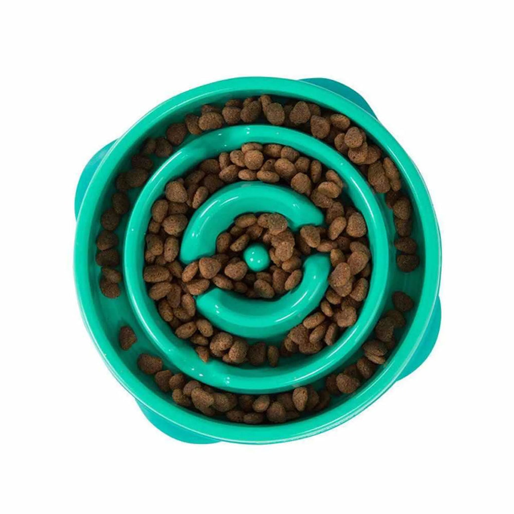 Silicone Slow Feeder Bowl for Dogs - Outward Hound turquoise