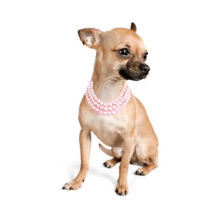 Silver & Light Pearl Graduated Multi-Strand Necklace for Dogs - Bark Fifth Avenue on dog