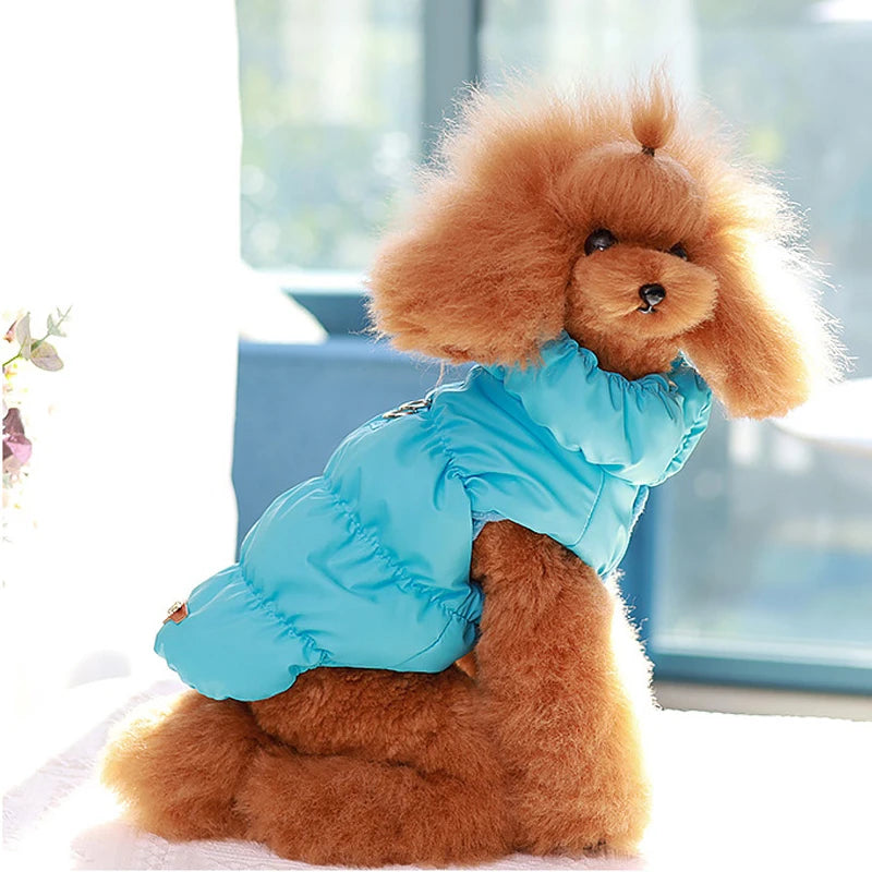 Soft Warm Dog Turtleneck Coat with D-Ring focal image