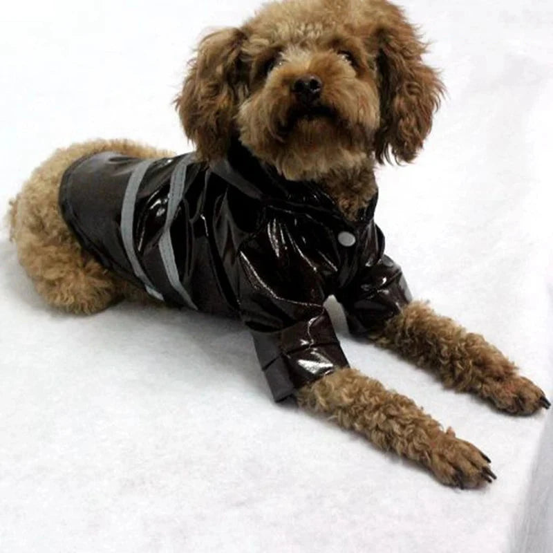 A small, curly-haired brown dog is lying down on a white surface. The dog is wearing a Reflective Waterproof Dog Raincoat: Perfect Poncho for Small Dogs made from waterproof fabric with reflective grey stripes across its back. With a calm expression, the pup looks forward, legs extended comfortably in front.