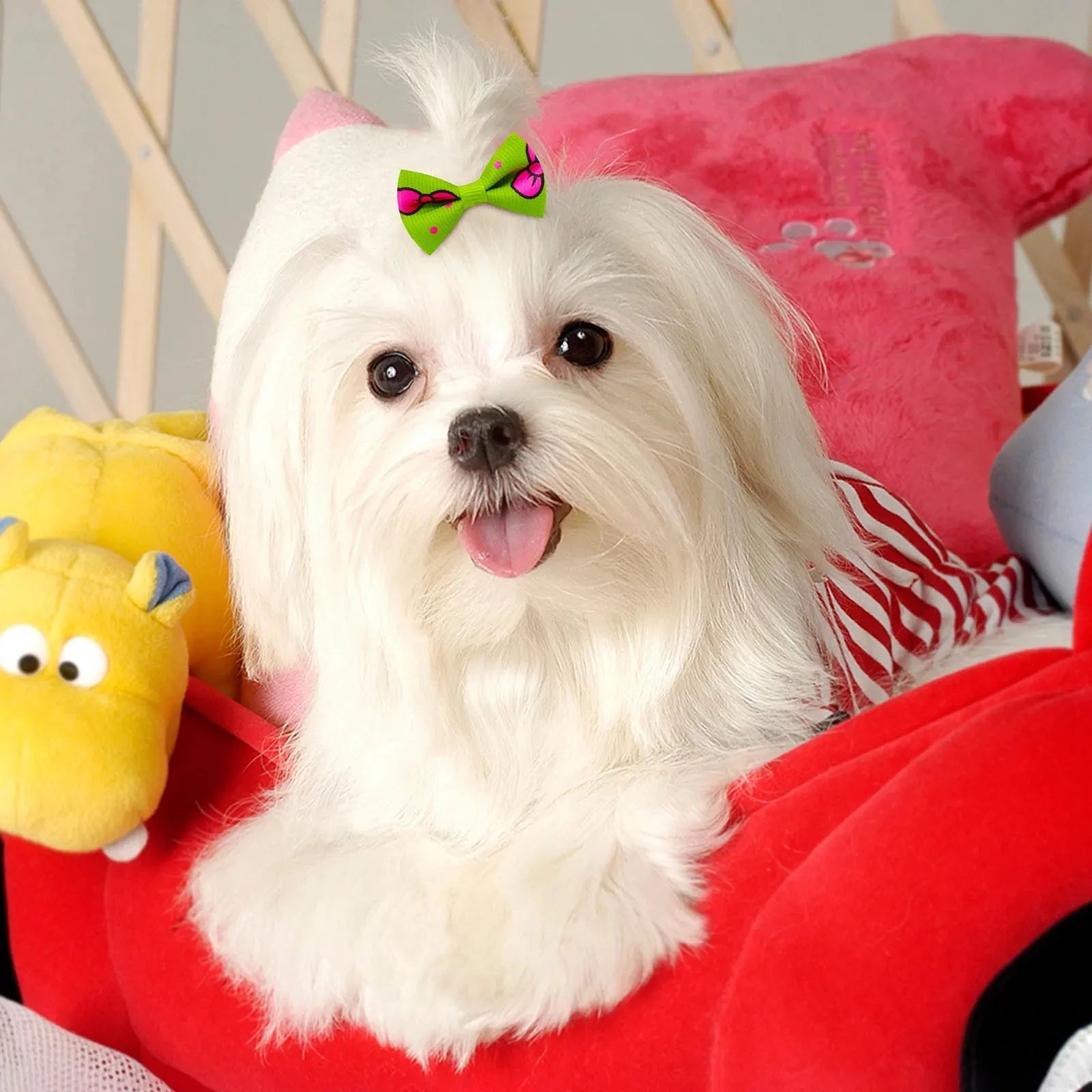 A small white dog with long fur and a green bow with a pink pattern on its head is sitting on a red plush cushion. The dog’s tongue is out, and it looks happy. Next to the dog are a yellow stuffed toy, a pink plush toy, and some 30PCS Adorable Dog Puppy Bows - Perfect Hair Accessories for Small Dogs. In the background is part of a wooden grid structure.