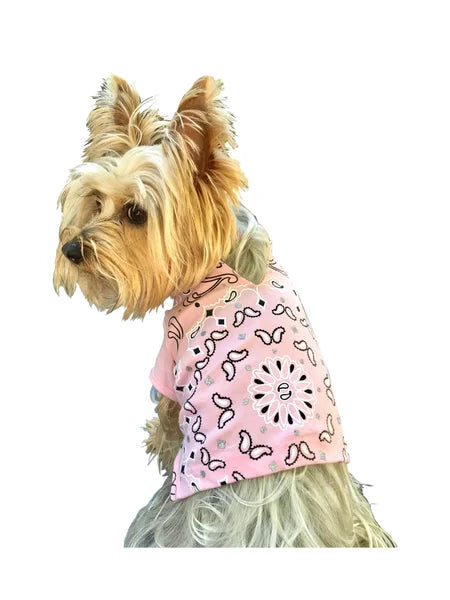 Dog wearing a pink bandana with black patterns on a white background