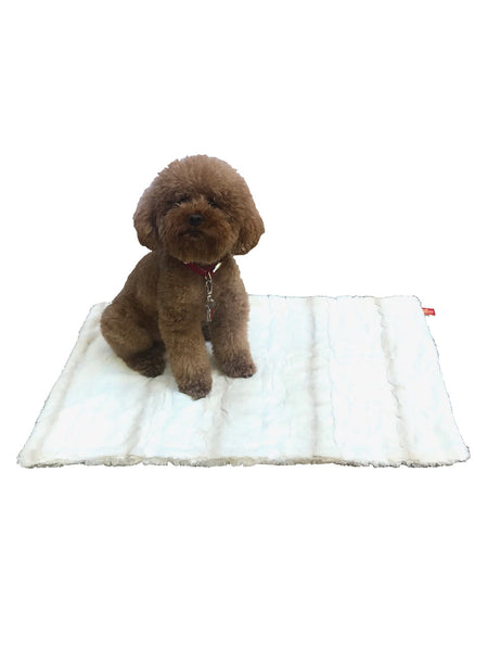 Brown dog sitting on a white heating pad with a red tag on a white background