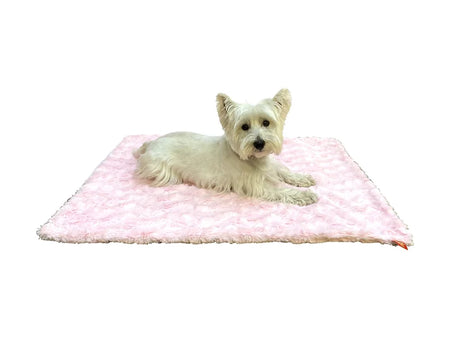 Small white dog lying on a pink blanket with a white background