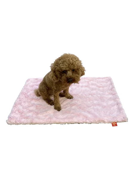 Small dog sitting on a pink textured mat with a white background