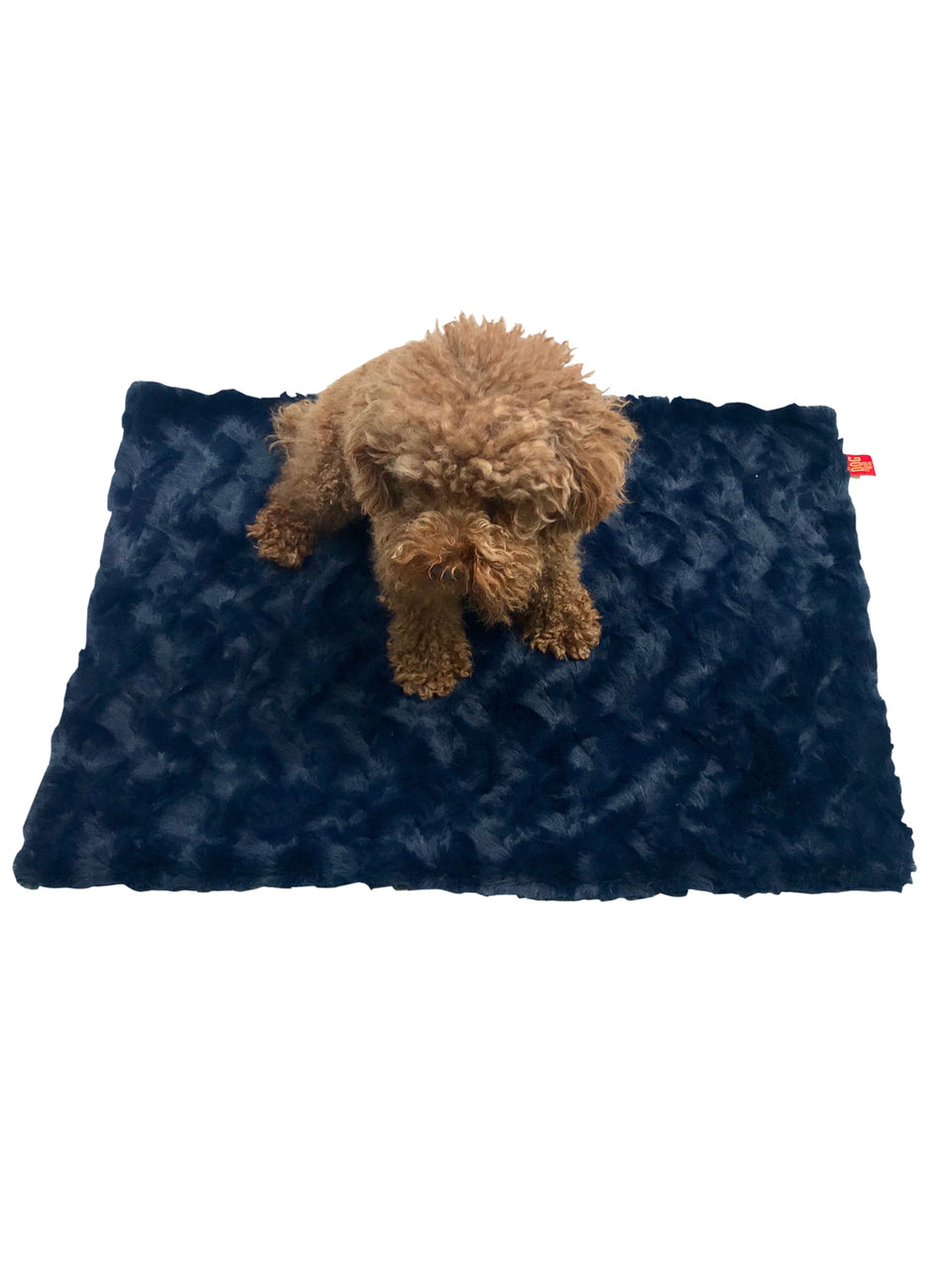 Small brown dog on a dark blue blanket with a visible brand logo.