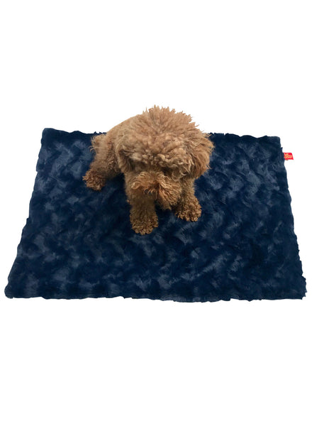 Small brown dog on a dark blue blanket with a visible brand logo.