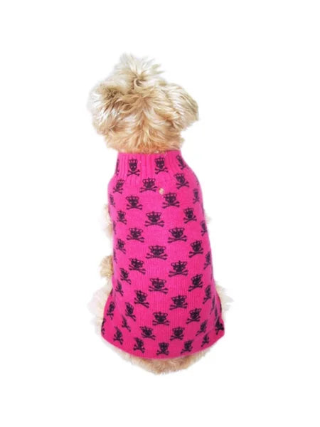 Dog wearing a pink sweater with black skull patterns on a white background