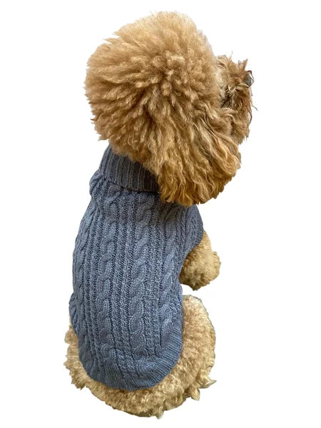 Dog wearing a blue knitted sweater on a white background
