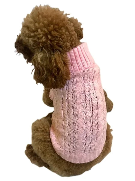 Dog wearing a pink knitted sweater on a white background