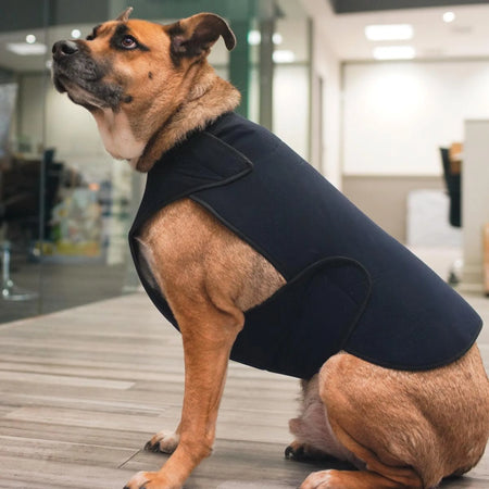 Therapeutic & Anxiety Front Body Wrap for Dogs - Healers Petcare