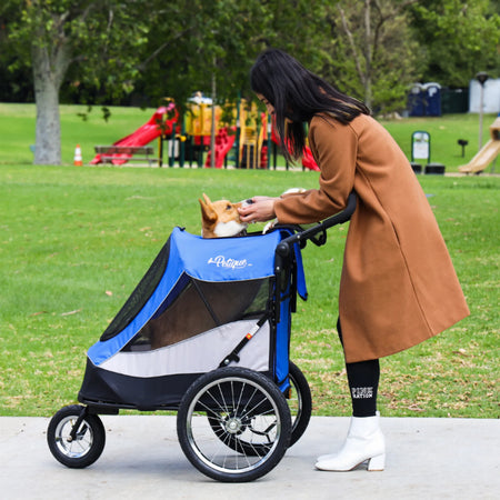 Trailblazer Pet Jogger for Dogs - Petique atlas