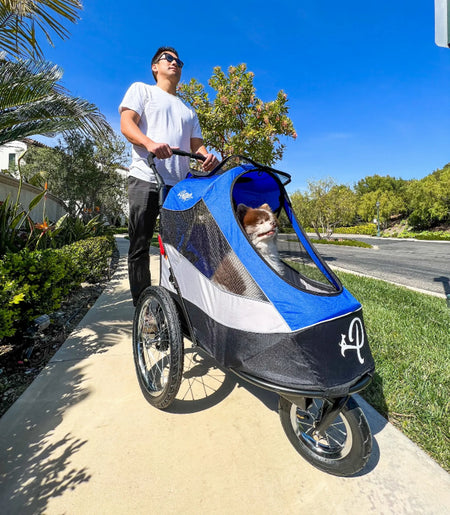 Trailblazer Pet Jogger for Dogs - Petique lifestyle 1