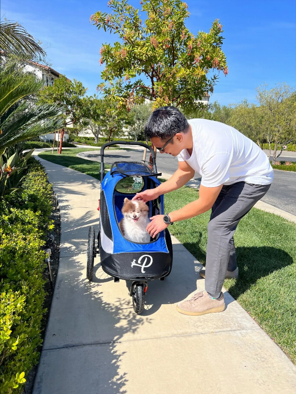 Trailblazer Pet Jogger for Dogs - Petique lifestyle 2