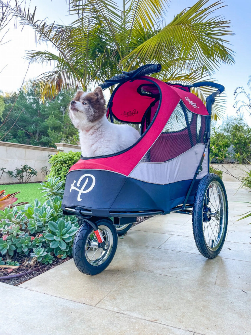 Trailblazer Pet Jogger for Dogs - Petique mars