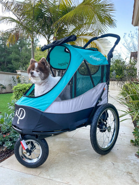 Trailblazer Pet Jogger for Dogs - Petique neptune