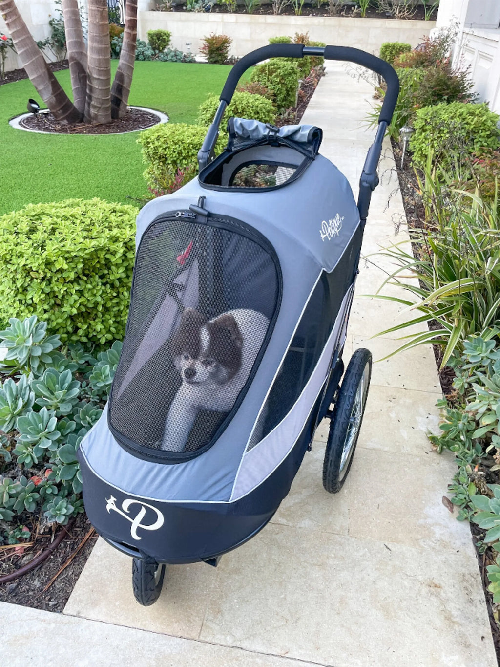 Trailblazer Pet Jogger for Dogs - Petique  space gray