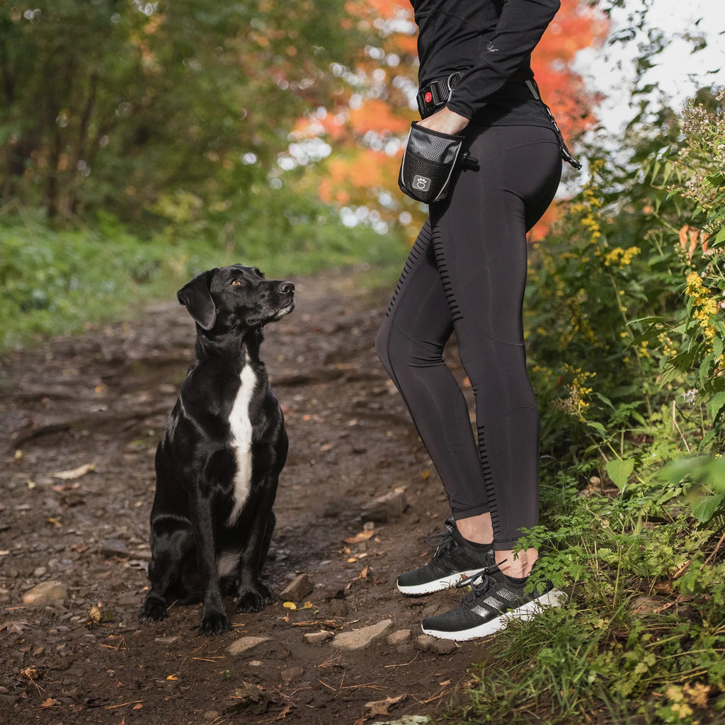 Treat Bag for Dogs - GF Pet lifestyle