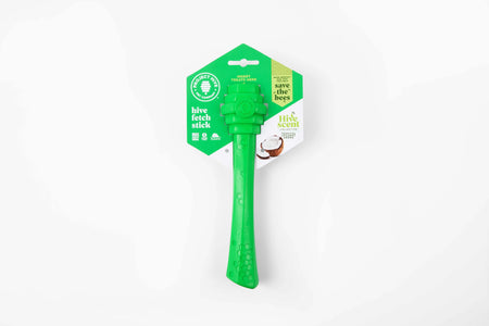 Tropical Coconut Scent Fetch Stick for Dogs - Green - Project Hive