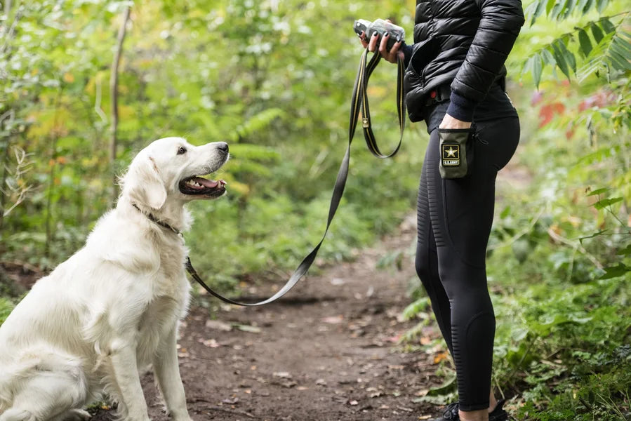 Person holding a camera and leash next to a white dog on a forest path