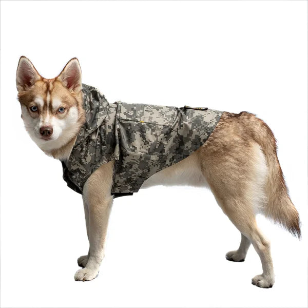 Dog wearing a camouflage jacket on a white background