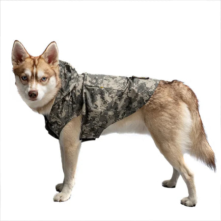 Dog wearing a camouflage jacket on a white background