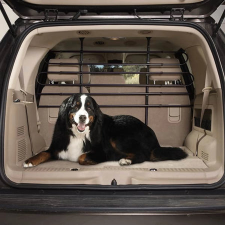 Vehicle Barrier for Dogs - Guardian Gear