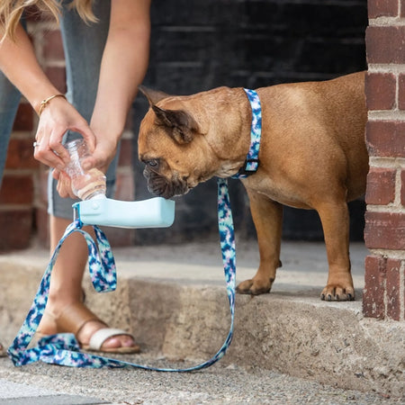 Water Bottle for Dogs - 8 oz - GF Pet blue with dog