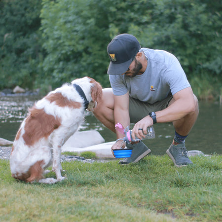 Water Saucer for Dogs - K9 Sport Sak lifestyle