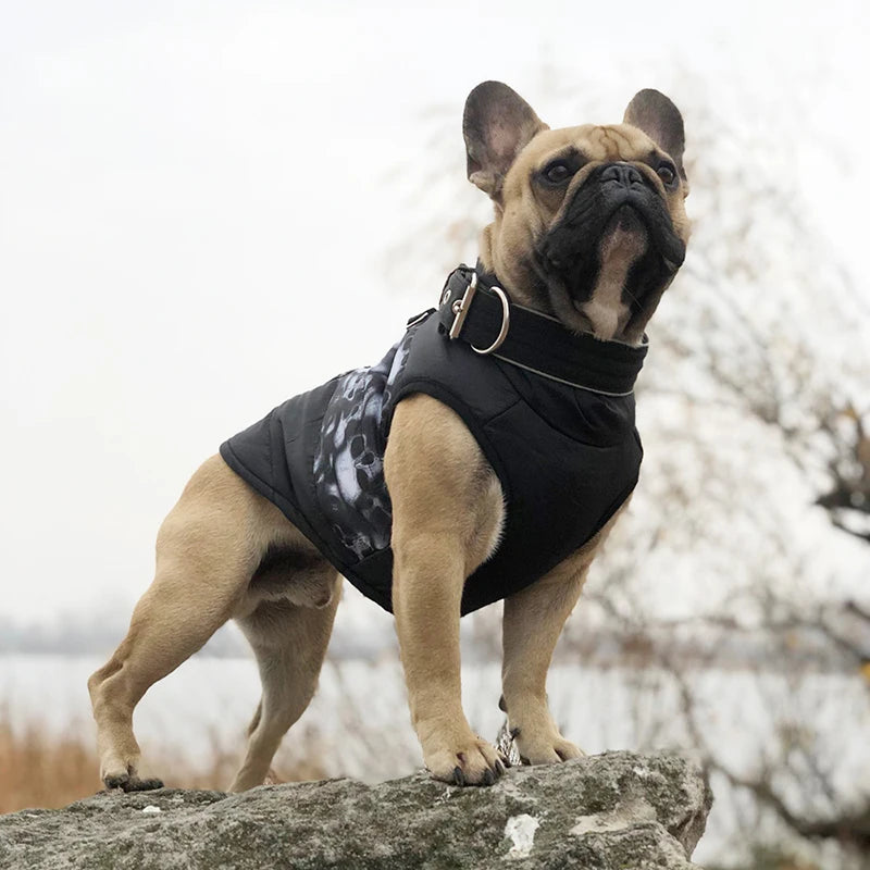 Waterproof Quilted Puffer Dog Jacket focal image