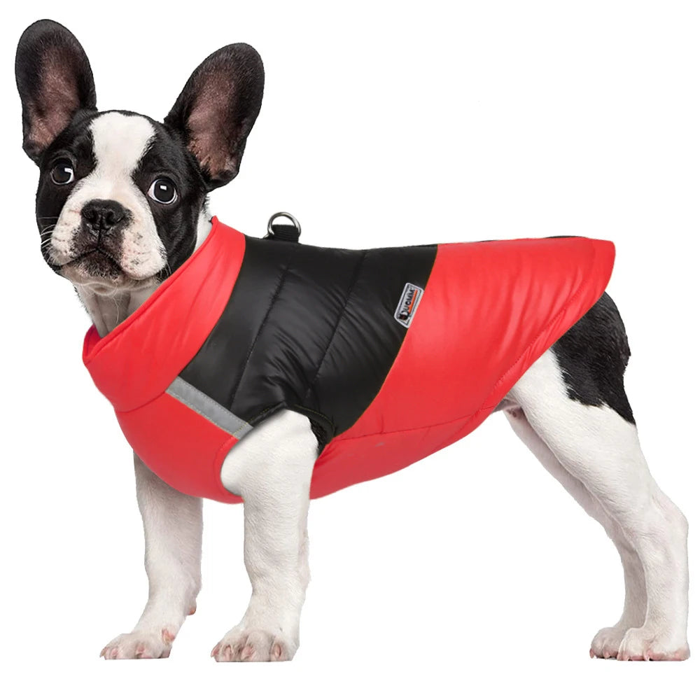 Waterproof Reflective Quilted Dog Jacket focal image