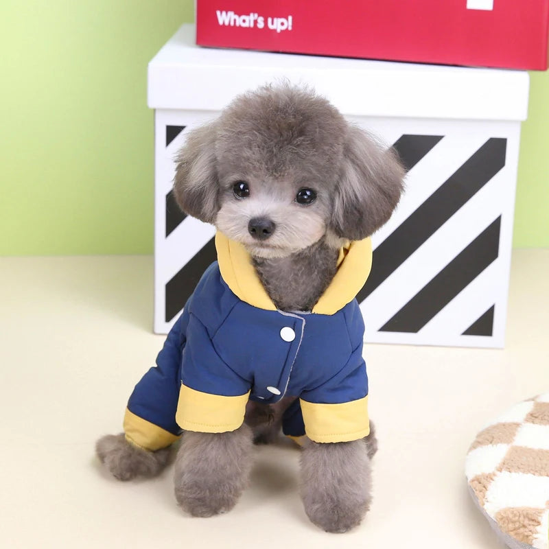 Winter_Windproof_Dog_Jumpsuit_front view dog in blue