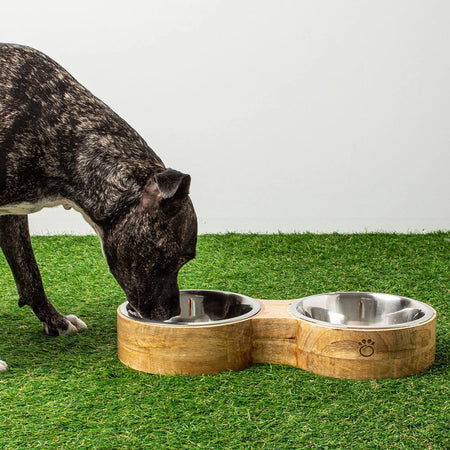 Wood & Metal Double Diner Feeder for Dogs - GF Pet  with dog