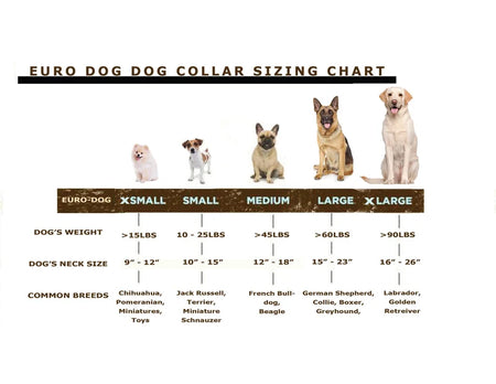 Euro Dog Dog Collar Sizing Chart with dogs of different sizes and breeds.