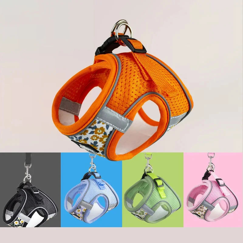 Breathable Nylon Mesh Harness & Leash Set - Perfect Comfort & Control for Small Dogs & Puppies - Dog Store Online