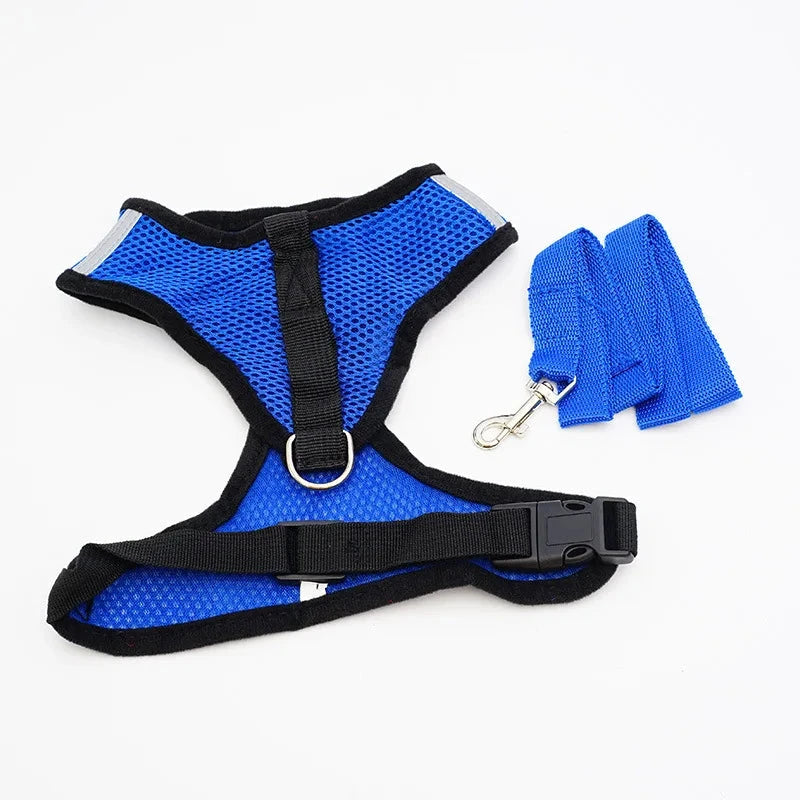 Breathable Mesh Small Dog Harness & Leash Set - Comfortable, Stylish, and Secure in 7 Vibrant Colors - Dog Store Online