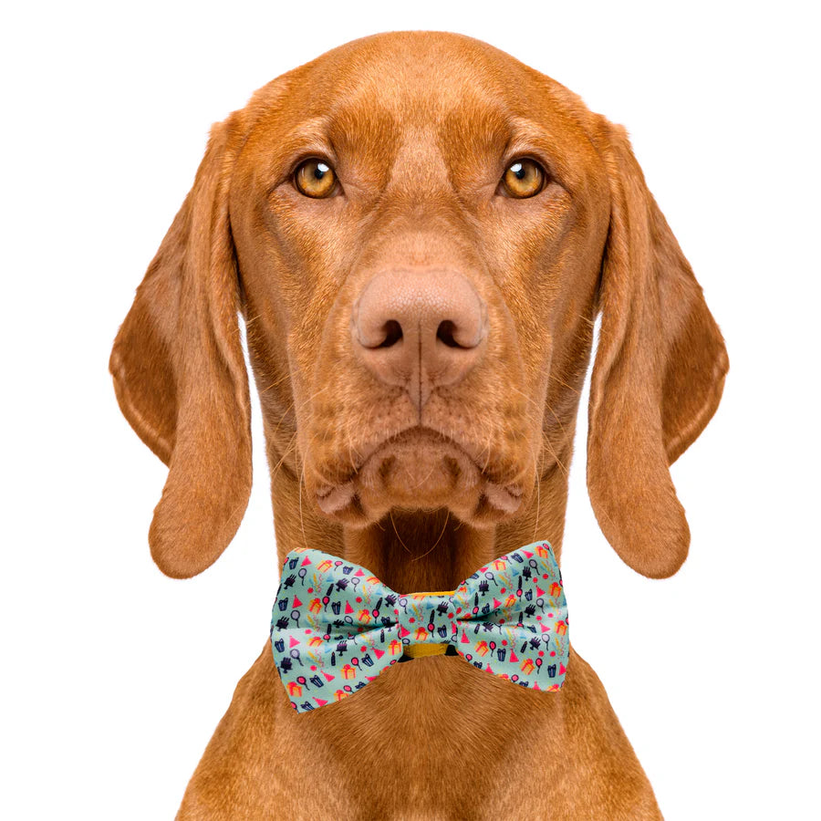 birthday bow tie